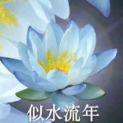 腾龙盛世果盘手游下载