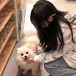 剑与远征日语版下载